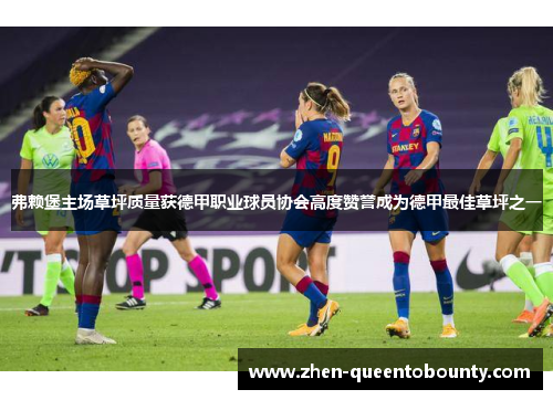 弗赖堡主场草坪质量获德甲职业球员协会高度赞誉成为德甲最佳草坪之一